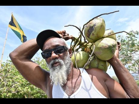 Credit: Rudolph Brown With coconuts on his shoulders and the Jamaican flag behind him, Adrian Wilson is the very picture of patriotism.