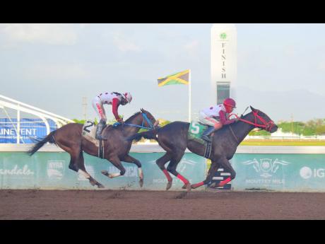 GIRVANO (right), ridden by Jordan Barrett, wins the Distinctly Irish Trophy ahead of Stablemate FUNCÀANDUN (Robert Halledeen)  over nine furlongs and 20 yards at Caymanas Park on Saturday.