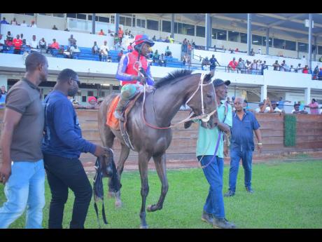 Credit: Anthony Minott PRETTY PERFECT, with Dane Dawkins in the saddle, parades in front of the stands with connections after winning the Winston ‘Fanna’ Griffiths Trophy, a Grade One Stakes, ahead of ALCHEMY OF SOULS (Clive Lynch) over 9 1/2 furlongs at Caymanas Park on Sunday.