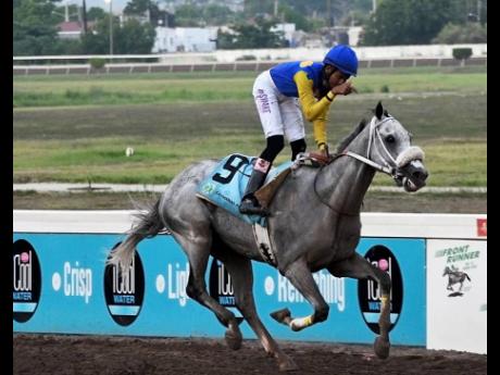 Credit: Anthony Minott Raddesh Roman stands in the saddle as he guides MOJITO to an easy victory in the Kenneth Matthis O.D. Memorial Trophy, a three-year-old Open Allowance Stakes over nine furlongs and 20 yards at Caymanas Park on Sunday.