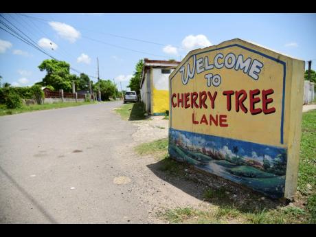 Credit: FILE Cherry Tree Lane