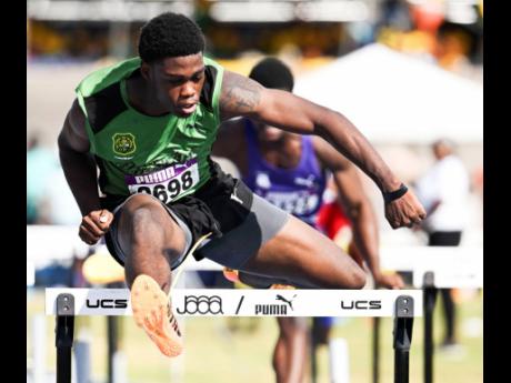 Credit: Ricardo Makyn Shaquane Gordon, winner of the boys’ Class One 110m hurdles, not training with the Calabar team.