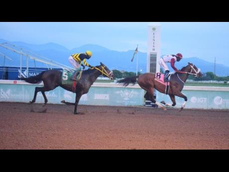 DOTHARAKI (right), ridden by Robert Halledeen, wins the ninth race ahead of DIGITAL ONE (Dane Dawkins) over 5 1/2 furlongs at Caymanas Park on Sunday.