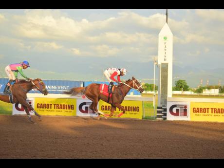 Credit: Anthony Minott/Freelance Photographer CALIFORNIA CROWN, ridden by Robert Halledeen, wins the Kaz Hosay Trophy ahead of ZULU WARRIOR (Raddesh Roman) over five-and-a-half furlongs at Caymanas Park on Saturday.