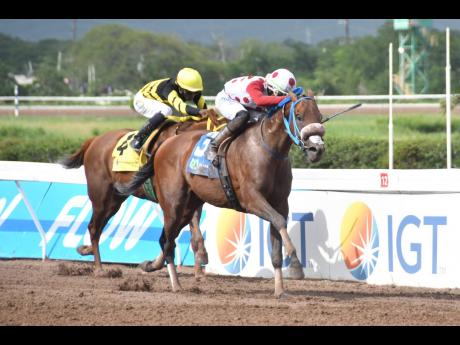 Credit: File FUNCAANDUN (right), ridden by Tevin Foster, winning The Distinctly Irish Trophy ahead of ATOMICA (Omar Walker) over nine furlongs and 20 yards at Caymanas Park on Saturday, August 24, 2024.