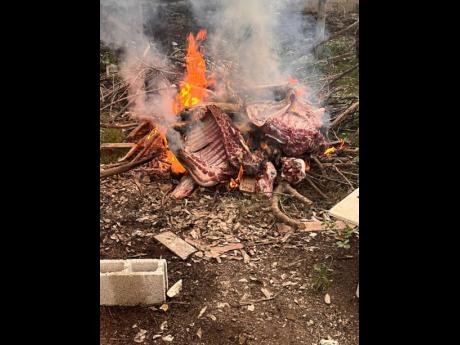 Credit: Contributed The carcasses being destroyed by fire under the supervision of the Health Department.