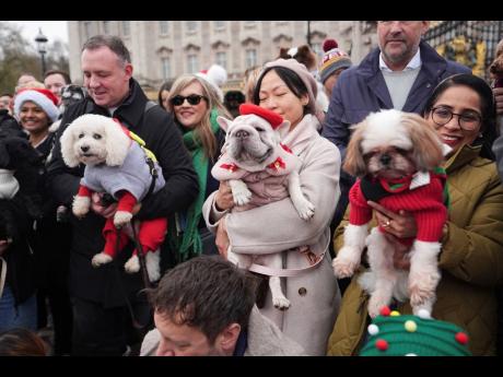 Credit: AP People and dogs take part during the Rescue Dogs of London and Friends Christmas Jumper Parade, in central London.