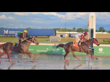Credit: Anthony Minott/Freelance Photographer GIRVANO, ridden by Robert Halledeen, wins the MIRACLE MAN Trophy over a mile at Caymanas Park on New Years Day.