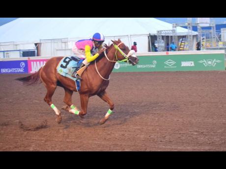 ZULU WARRIOR, ridden by  Demar Williams, wins the Security Department Trophy over five furlongs in a brisk 58 seconds at Caymanas Park on Saturday.