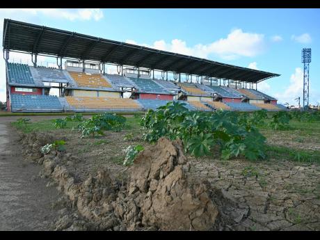 Credit: Ashley Anguin Vegetation taking root on the playing field at Montego Bay Sports Complex.