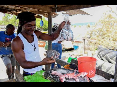 Parri explains the challenges of selling wild-caught fish versus affordable freshwater options.