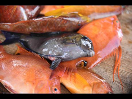Wild-caught fish like snapper and parrot remain a Jamaican favourite, though rising prices are shifting buying habits.