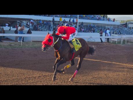 Credit: Anthony Minott/Freelance Photographer PACK PLAYS winning the 7 1/2-furlong Chairman’s Trophy at Caymanas Park on Saturday.