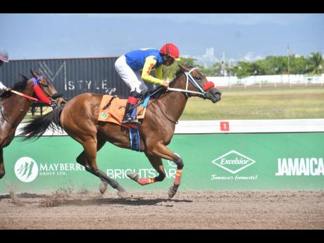 TAPPININ, ridden by Anthony Thomas, winning the fifth race over five furlongs at Caymanas Park on Saturday.