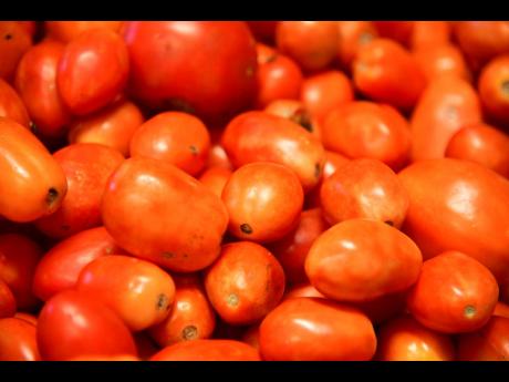 Tomatoes are being sold in the markets for as low as $50 per pound, one of the lowest price in years. 