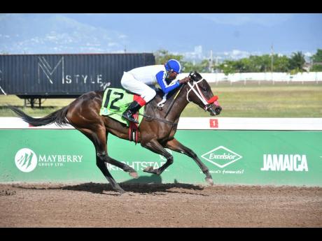 TREASURE ISLES, ridden by Everton Miller, winning the sixth race, on debut, over seven furlongs at Caymanas Park on Saturday, February 21.