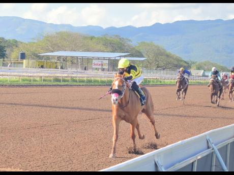 Credit: Anthony Minott/Freelance Photographer SALUTE THE DON, ridden by Dane Dawkins, wins the 32nd running of THE SIR HOWARD Stakes at Caymanas Park on Saturday.