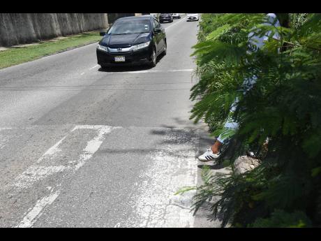 Overgrown grass and shrubs along a section of Mona Road in St Andrew, obstructing visibility and putting drivers and pedestrians at risk.