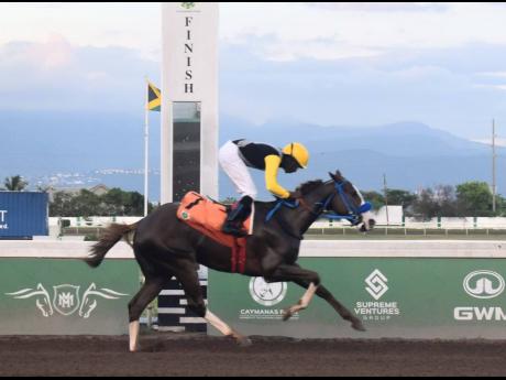 WE JAMMIN, ridden by Omar Walker, wins the Prince Consort Stakes over seven furlongs at Caymanas Park on Saturday.
