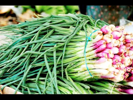 According to the Ministry of Agriculture, Fisheries and Mining, a surplus of scallion has led to a slowdown in purchasing by key stakeholders.