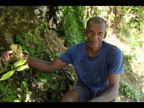Nigel Hunter, grandfather of Kland Doyle, sits in reflection at his home in Castle Hill, Bath, St Thomas.