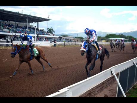 BADBADTANESHA (left), ridden by Richie Shakes, wins the sixth race at odds of 20-1 ahead of the Kevin Foster-ridden MODERN MONARCH (right), over 6 1/2 furlongs at Caymanas Park on Sunday. It was Shakes’ third of four winners on the nine-race card.